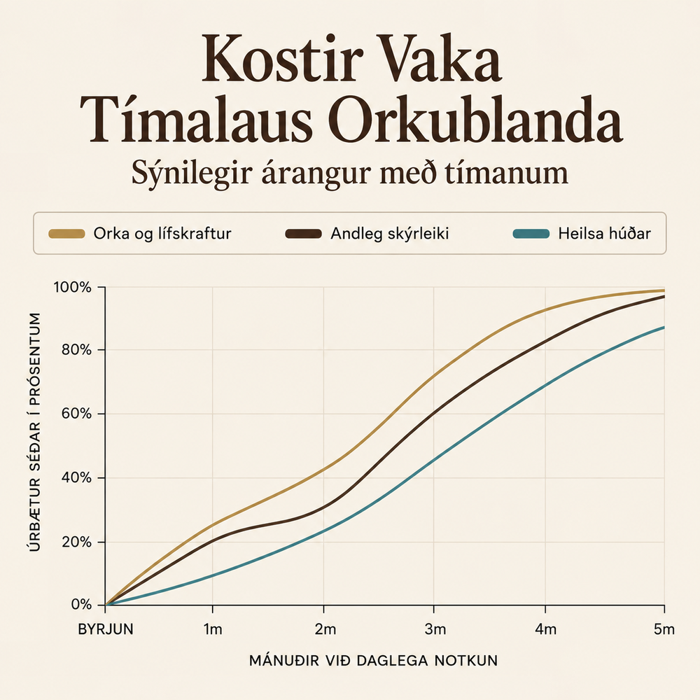 Tímalaus orkublanda - mynd 9
